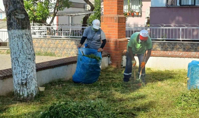 Nazilli Belediyesi'nden parklarda temizlik seferberliği