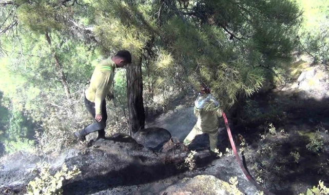 Oğuzlar'da orman yangını