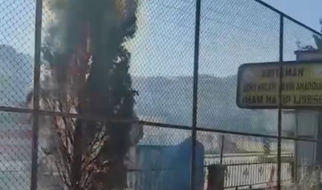 Okul bahçesinde ağaçlar cayır cayır yandı