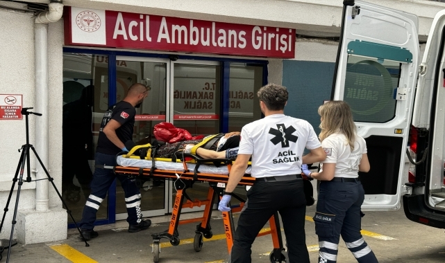 Ordu'da uçuruma yuvarlanan otomobildeki 5 kişi yaralandı