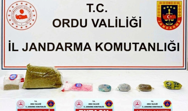 Ordu'da Jandarma KOM ekiplerinin 5 aylık faaliyeti açıklandı: 13 tutuklama