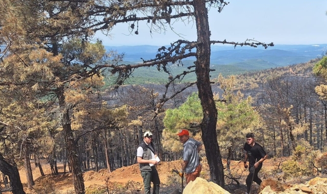 Orhaneli'ndeki yangında 96 hektar orman kül oldu, ağaçlandırma çalışması başladı