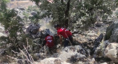 Orman yangını güçlükle söndürüldü