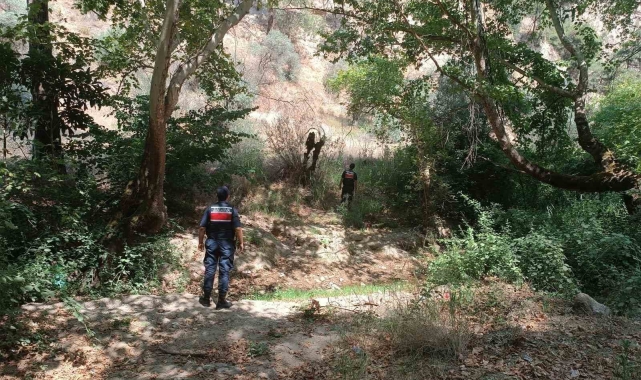 Ormanlık alanda mangal yakan 31 kişi cezadan kaçamadı