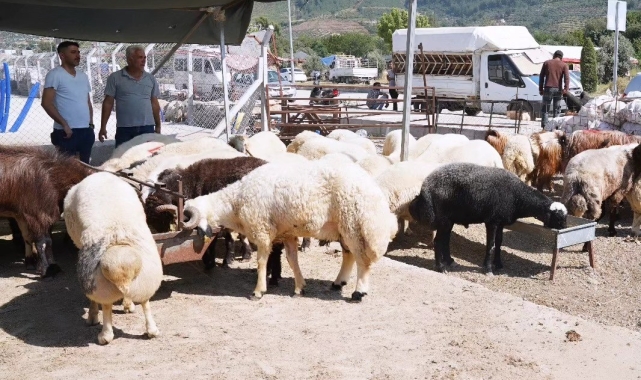Osmaniye'de Kurban Bayramı öncesi hayvan pazarında denetim