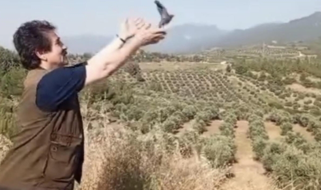 Osmaniye'de tedavisi tamamlanan kuşlar doğaya bırakıldı