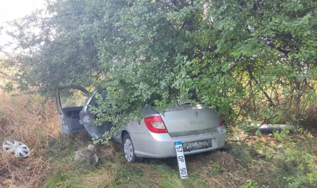 Otomobil ağaca çarptı: 3 yaralı