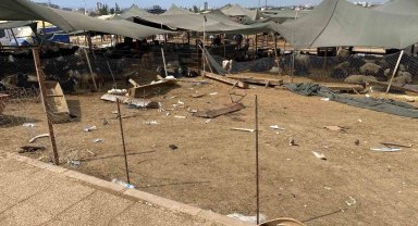 Otomobil hayvan pazarına girdi: 8 yaralı, 20 kurbanlık hayvan telef oldu