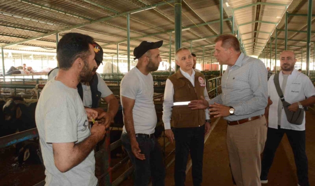 Özkasap ve Öztürk Canlı Hayvan Borsası'nda incelemelerde bulundu