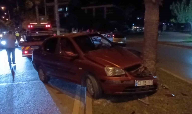 Palmiye ağacına çarpan 80 yaşındaki sürücü yaralandı