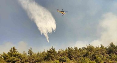 Pamucak'tan Kuşadası'na sıçrayan yangını söndürme çalışmaları devam ediyor