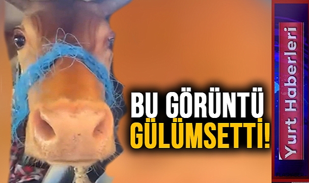 PATRON GİBİ GİTTİ!
