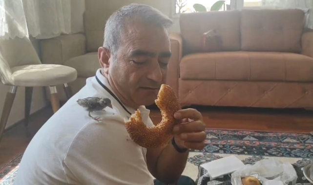 Pencereden giren serçe evi terk etmiyor