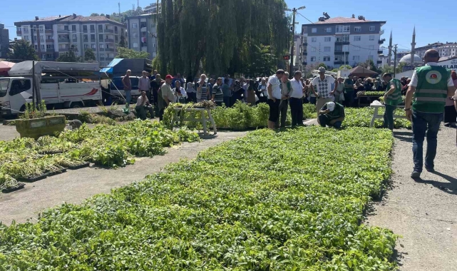 Rize'de ata tohumlarından üretilen 40 bin sebze fidanı vatandaşlara dağıtıldı