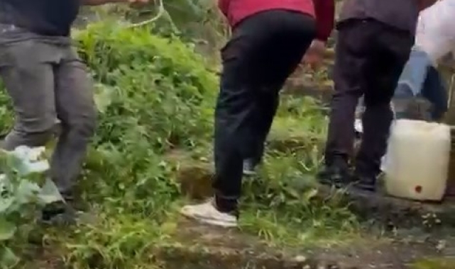 Rize'de vatandaş kurbanlıkla beraber duvardan aşağı düştü