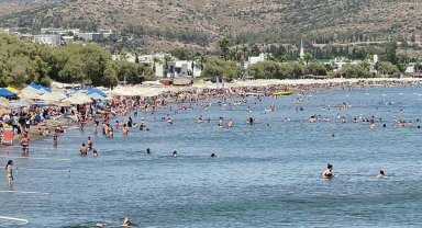 Sahillere akın ettiler