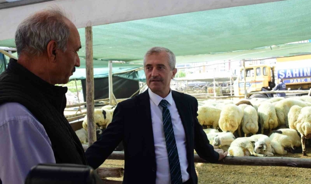 Şahinbey Belediyesinden vatandaşın bütçesini düşünen kurbanlık uygulaması