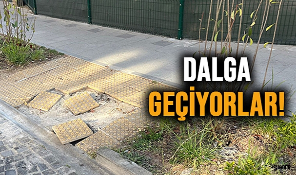 SAHİP ÇIKAN OLMAYINCA!