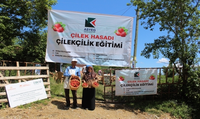 Samsun'da çilek yetiştiriciliği eğitimi düzenlendi