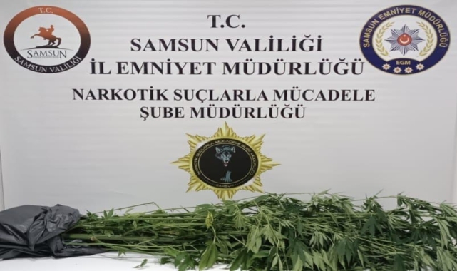 Samsun'da uyuşturucu operasyonunda bir zanlı yakalandı