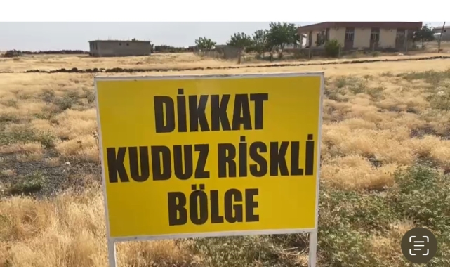 Şanlıurfa'da bir kuduz vakası daha