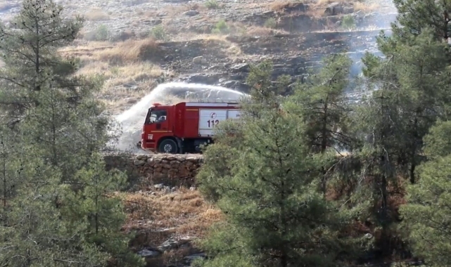 Şanlıurfa'da ormanlık alanlara giriş yasaklandı