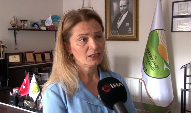 Sarıyer'deki elektrik dalgalanmaları esnafı çileden çıkardı: "Elektrik yetmiyor açıkçası bezdik"