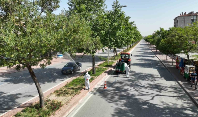 Selçuklu'da haşere ile mücadele sürüyor