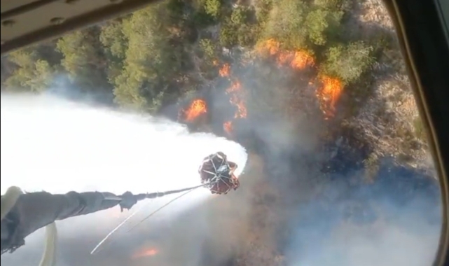 Selçuk'taki yangın Kuşadası'na sıçradı