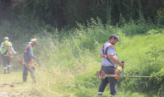 Serdivan'da sokakları yabani otlardan arındırılıyor