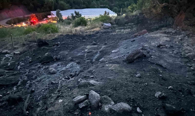 Serik&#039;te orman yangını kısa sürede söndürüldü