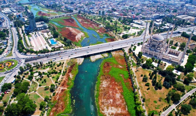 Seyhan Nehri'ni kaplayan yosunlar insan boyunu geçti, kötü koku kenti kapladı
