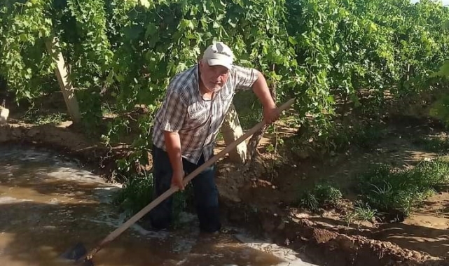Sıcak havaya karşı üzüm bağlarına su takviyesi