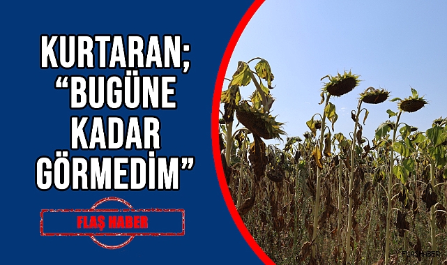SICAK TOPRAĞI ÇATLATTI
