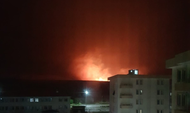 Siirt'te anız yangını