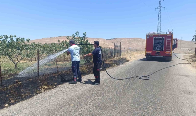 Siirt'te farklı noktalarda meydana gelen yangınlar büyümeden söndürüldü