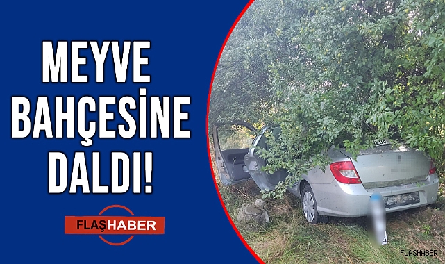 SİNOP-SAMSUN YOLUNDA FECİ KAZA!