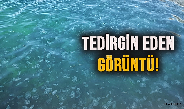 SİNOP'TA İSTİLA!