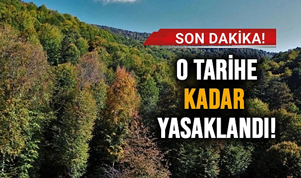 SİNOP’TA ORMANLARA GİRİŞ YASAĞI GETİRİLDİ!