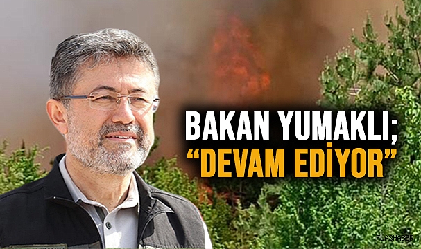 SİNOP'UN DİKMEN İLÇESİNDE YANGIN!