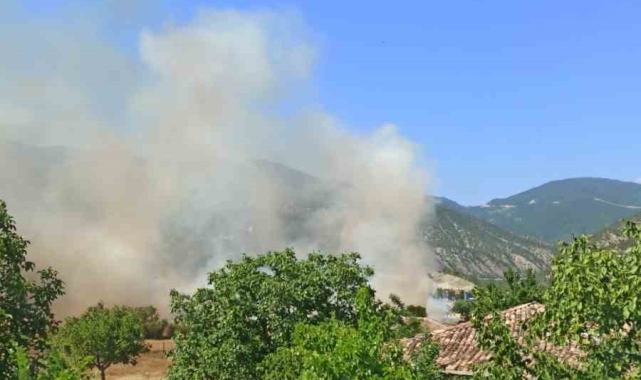 Sinop'ta tarım arazisinde yangın