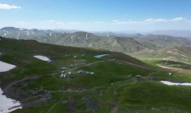 Şırnak dağları sarıya büründü