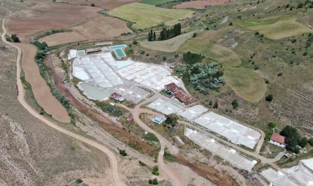 Sivas'ta 200 yıldır geleneksel yöntemlerle üretilen 84 mineralli tuzun hasadı başladı