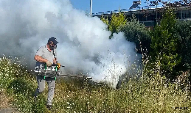 SİVRİSİNEKSİZ BİR YAZ İÇİN!