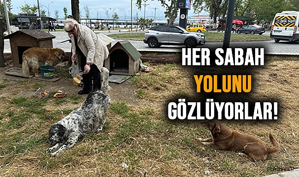 SOKAK HAYVANLARININ KAHRAMANI OLDU!