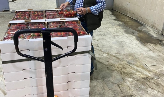 Söke'de 1 ayda bin 256 ton tarımsal ürün ihraç edildi