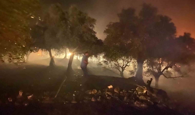 Sultanhisar'daki yangın büyük ölçüde kontrol altına alındı