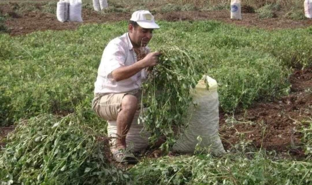 Tarla sulamaya giden çiftçinin cesedi bulundu