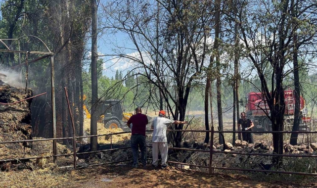 Tarlada başlayan yangın ahır ve saman balyalarına sıçradı, bine yakın saman balyası yandı