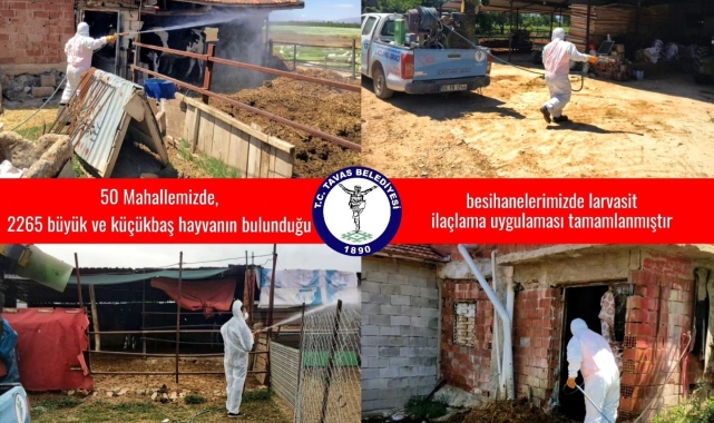 Tavas Belediyesi 50 mahallede 2. tur ilaçlamalarına başladı